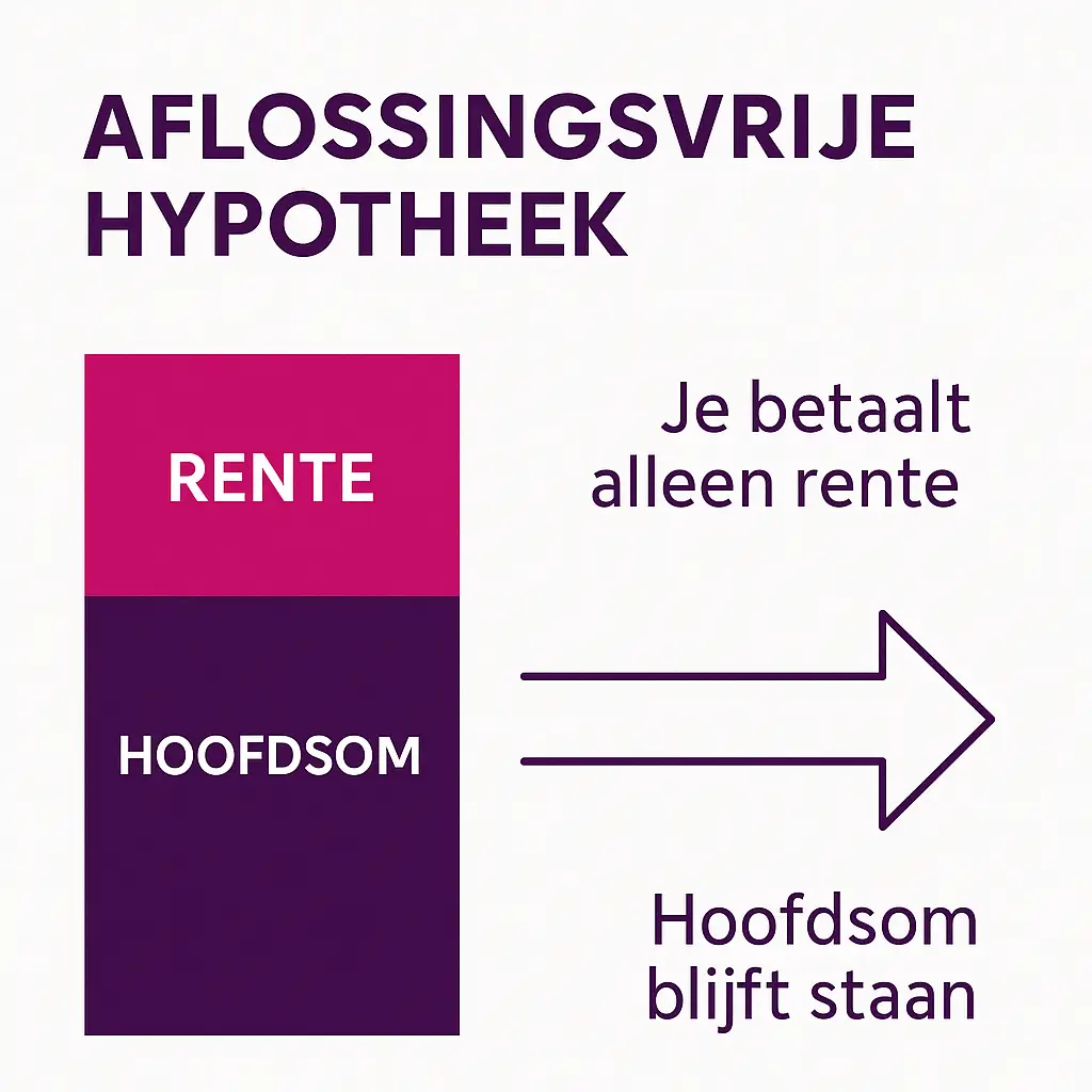 Uitleg aflossingsvrije hypotheek: alleen rente, geen aflossing tot eindtermijn